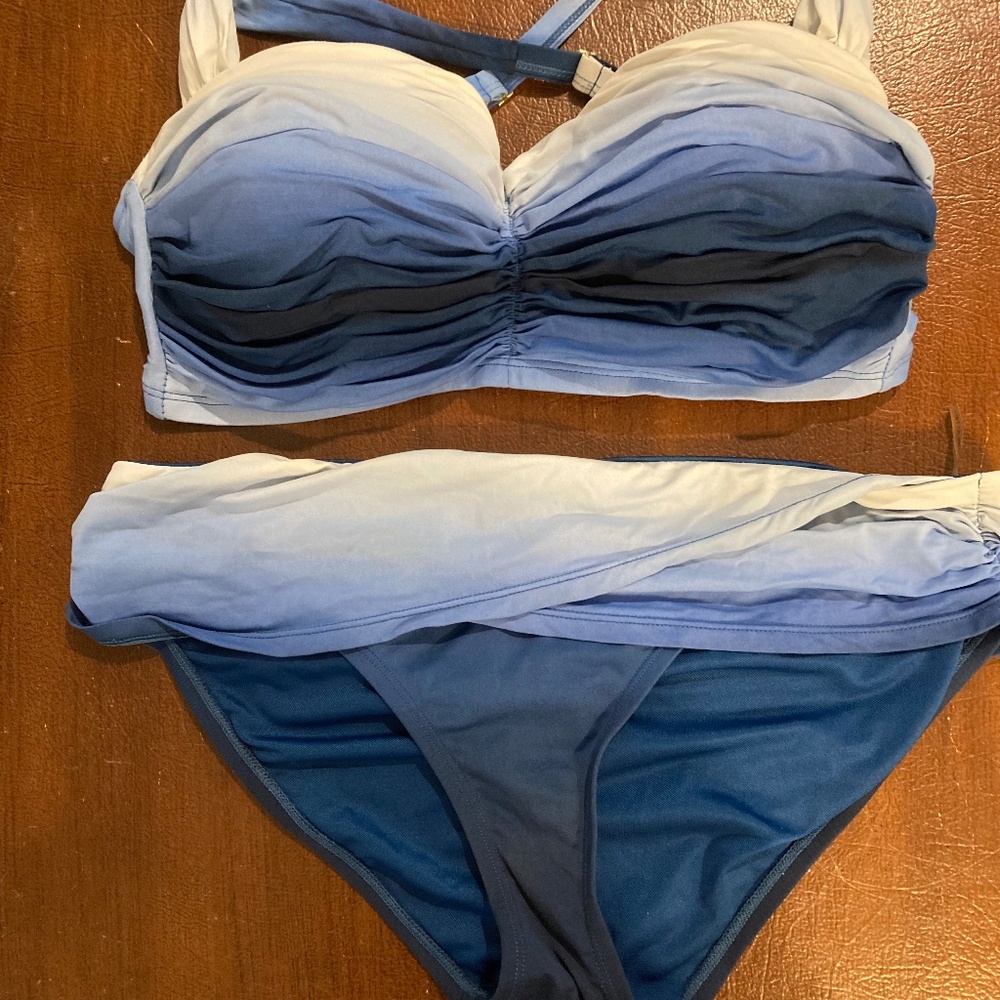 Ombre Bikini by Bleu Rod Beattie
